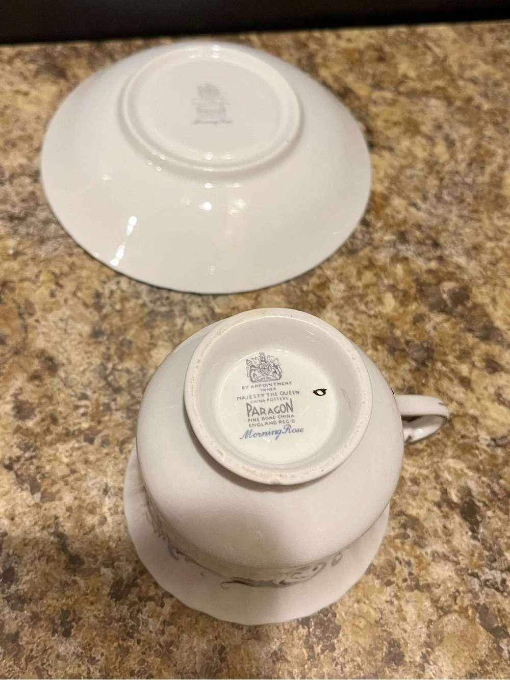 PARAGON Morning Rose Bone China Teacup and Saucer with Blue Rose and Silver Trim